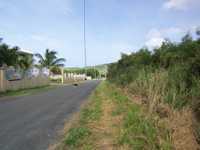 House 519414308