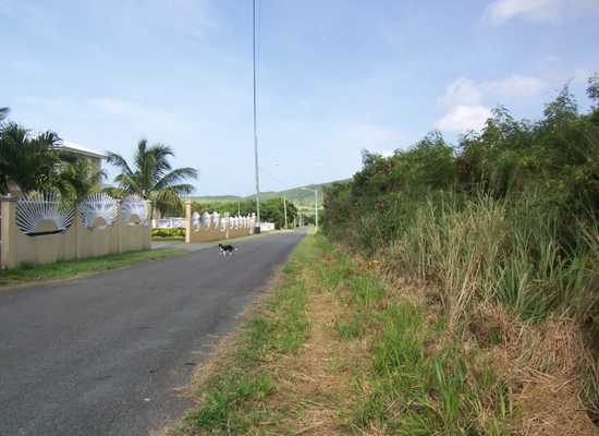 104 Union & Mt. Wash EA, 11-1375, Other, Lots and Land,  for sale - Dionne Nelthropp, Hibiscus Homes