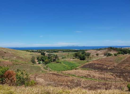 NF95 Momi Nadi, Nadi, Farm,  for sale, PROPERTY EXPERTS 