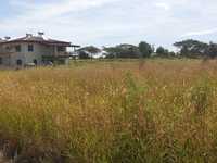 House 720851425