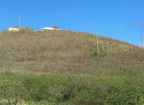 106 Green Cay EA, 20-150, Other, Lots and Land,  for sale - Dionne Nelthropp, Hibiscus Homes