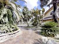 House 1255440345