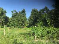 House 1037156660
