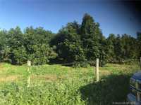 House 1037156628