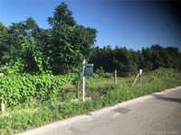 House 1037156641