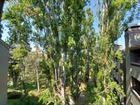 House 1173751980