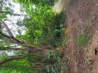 House 1048756509