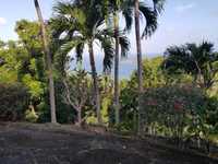 House 1118002617
