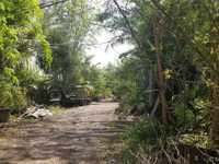 House 1255601163
