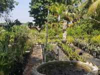 House 1255601151