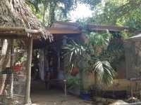 House 1255601159