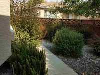 House 1235971296