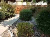 House 1235971297