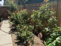House 1235972020