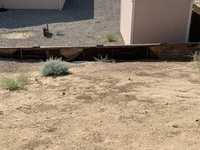 House 1235972289
