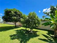 House 1265985341
