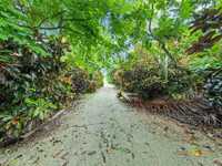 House 1299530128