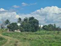 House 1314135407