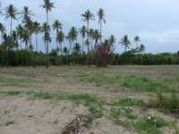 House 1320563275