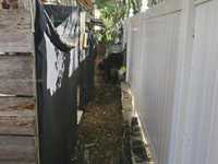 House 1350217142