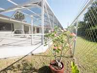 House 1363591146