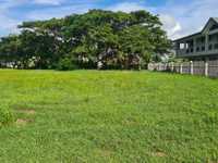 House 1413997265