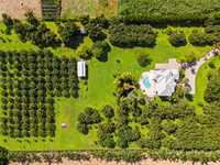 House 1398855398
