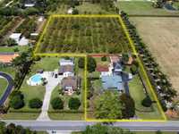 House 1641383982