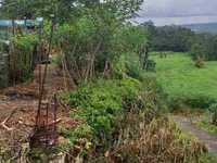 House 1435004418