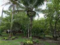 House 1574577056