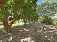 House 1442218755