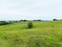 House 1463277412
