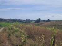 House 1531390564