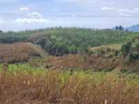 House 1531390566