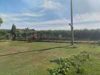 House 1577320228