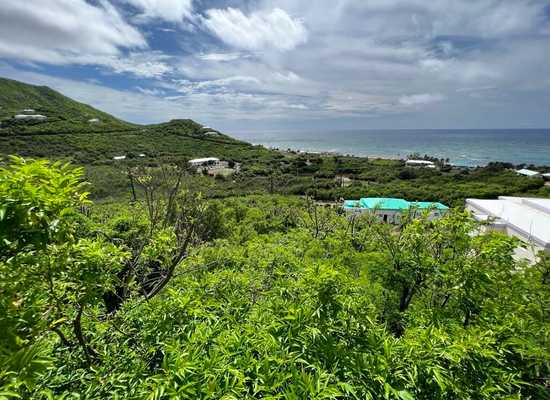 72 South Grapetree EB, 22-1627, Other, Lots and Land,  for sale - Dionne Nelthropp, Hibiscus Homes