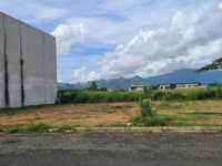 House 1589866912
