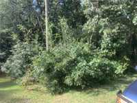 House 2044572272