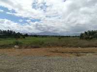 House 1603915667