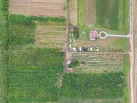 House 1616445956