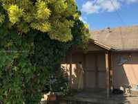 House 1621212494