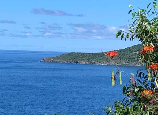 10-22 Peterborg GNS, 23-4, Other, Lots and Land,  for sale - Dionne Nelthropp, Hibiscus Homes