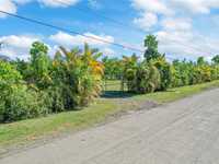 House 1651697537