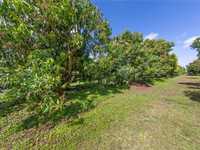 House 1659079355
