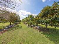 House 1659079364