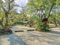 House 1659078221