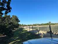 House 1660790343