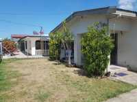 House 1666467338