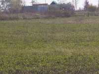 House 2670867450