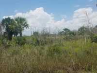 House 1912155589